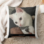 猫好きのための枕。猫は好きだけど人間は嫌いな人のための猫枕。 クッション (ブランケット)