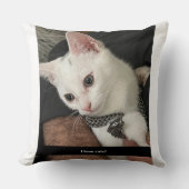 猫好きのための枕。猫は好きだけど人間は嫌いな人のための猫枕。 クッション (正面)