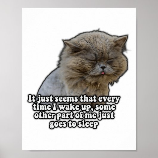 猫好きのための面白い猫のミームTシャツ ポスター (正面)