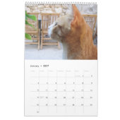 猫好きのカレンダー カレンダー (1月 2027)