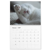 猫好きのカレンダー カレンダー (2月 2027)