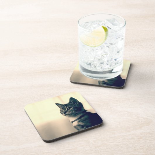 猫好きのギフト、猫のテーマのギフト、猫のコースター コースター (右側)
