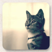 猫好きのギフト、猫のテーマのギフト、猫のコースター コースター (正面)