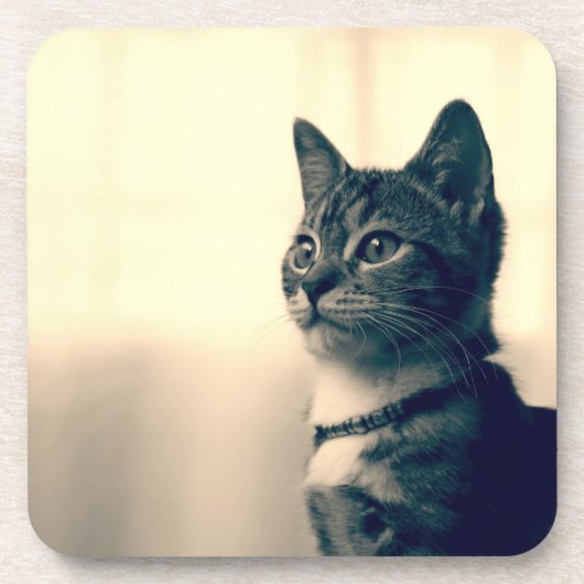 猫好きのギフト、猫のテーマのギフト、猫のコースター コースター (正面)