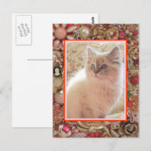 猫好きのヴィンテージジュエリーフォトデザイン ポストカード (正面/裏面)