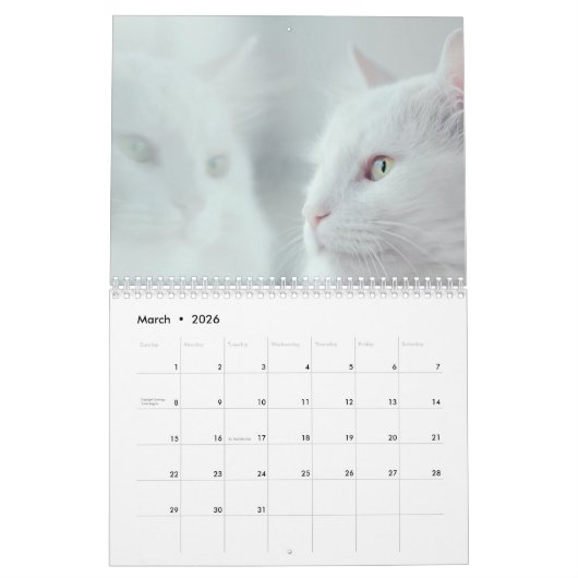猫好きの写真カレカスタムンダー カレンダー (3月 2026)
