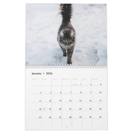 猫好きの写真カレカスタムンダー カレンダー (1月 2026)