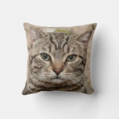 猫好きの虎の猫の写真 クッション (裏面)