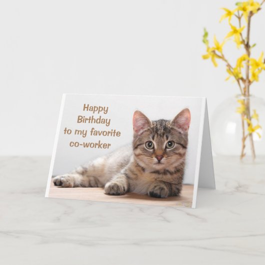 **猫好きの誕生日** カード (黄色い花)