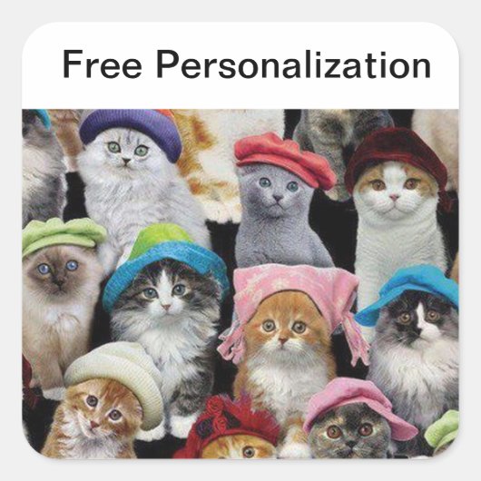 猫好きステッカーパック スクエアシール (正面)