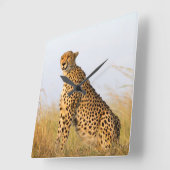 猫好きチータの写真 スクエア壁時計 (傾斜)