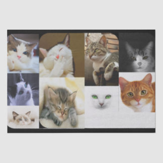 猫好きティッシュペーパー 薄葉紙