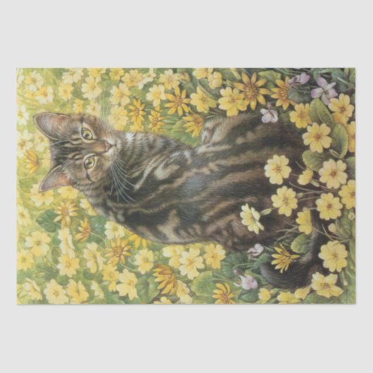 猫好きティッシュペーパー 薄葉紙 (正面)