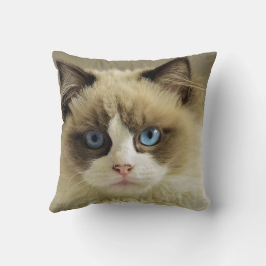 猫好きパーソナライズされたペット2フォトカスタム クッション (裏面)