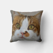 猫好きプレゼントカスタム- Pet Photo Keepsake Cat クッション (裏面)