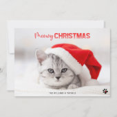 猫好きペットポープリントクリスマスホリデーカード シーズンカード (正面)