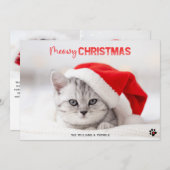 猫好きペットポープリントクリスマスホリデーカード シーズンカード (正面/裏面)