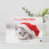 猫好きペットポープリントクリスマスホリデーカード シーズンカード (スタンド正面)