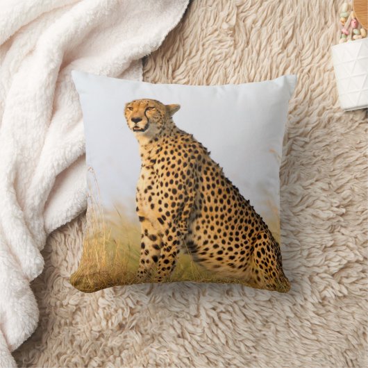 猫好き写真 クッション (ブランケット)