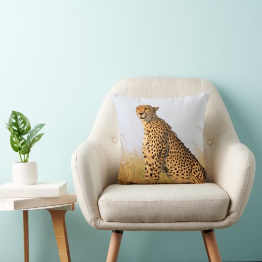 猫好き写真 クッション (椅子)