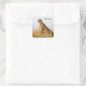 猫好き写真 スクエアシール (バッグ)