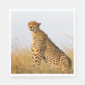 猫好き写真 スタンダードランチョンナプキン (正面)