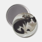 猫好き喜び マグネット (正面/裏面)