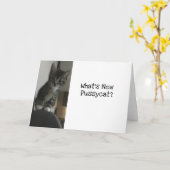 猫好き新しいプッシャットって?キッテン カード (黄色い花)