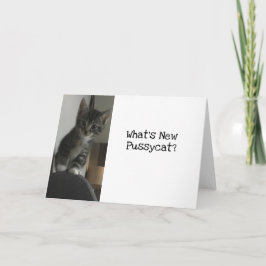 猫好き新しいプッシャットって？キッテン カード