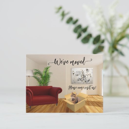 猫好き新しいホーム移動はがき 案内ポストカード (スタンド正面)