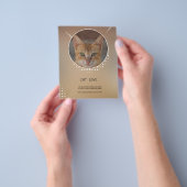 猫好き機 チラシ (手)