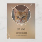 猫好き機 チラシ (正面)