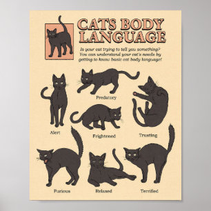 猫好き猫体言語 ポスター