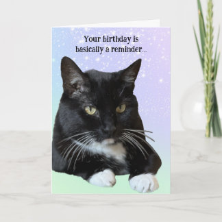 猫好き誕生日カード カード