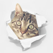 猫好き顔おもしろい シール (正面)