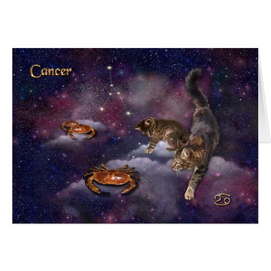 猫好き (正面横)