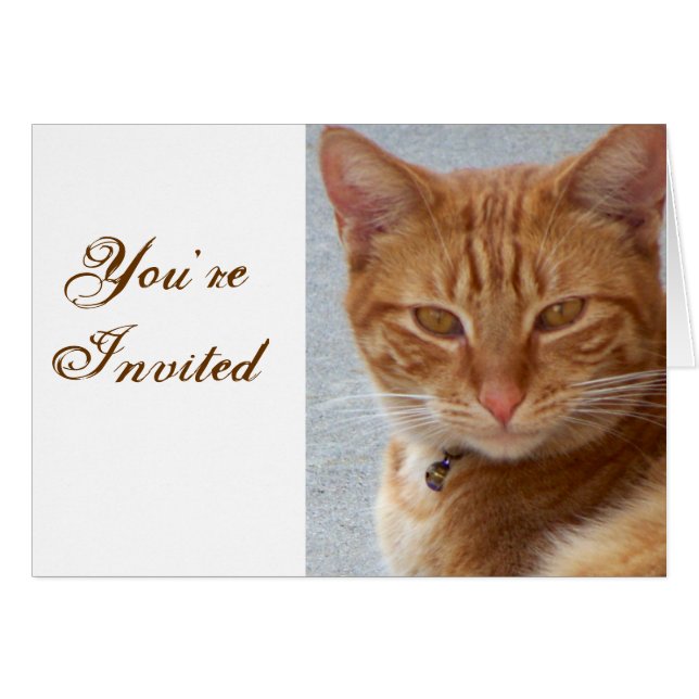 猫好き_ (正面横)