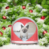 猫好き (クリスマス)