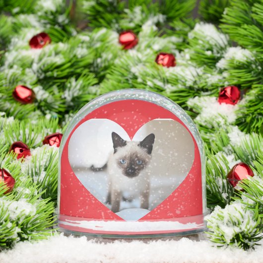 猫好き (クリスマス)