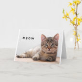 **猫好き**おもしろい誕生日グリーティングカード カード (黄色い花)