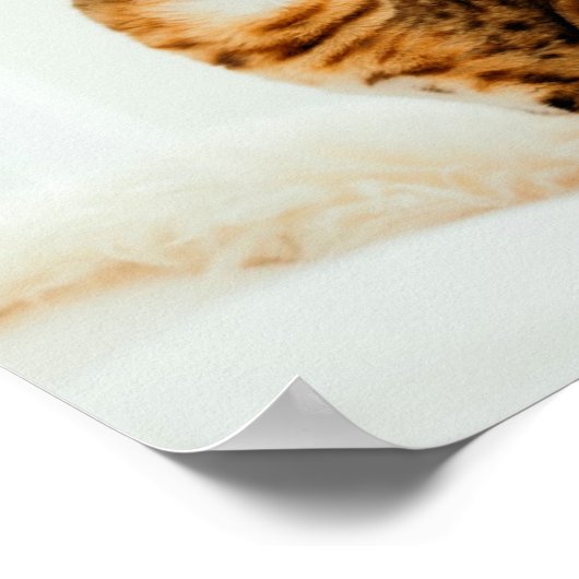 猫好き、かわいい子猫ミーム、私のベビーは毛を持っている ポスター (角)