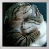 猫好き ポスター (正面)