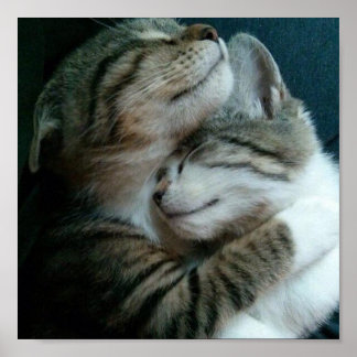 猫好き ポスター