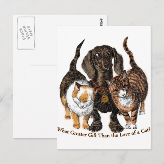 猫好き ポストカード (正面/裏面)