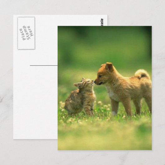 猫好き ポストカード (正面/裏面)