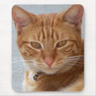 猫好き_ マウスパッド