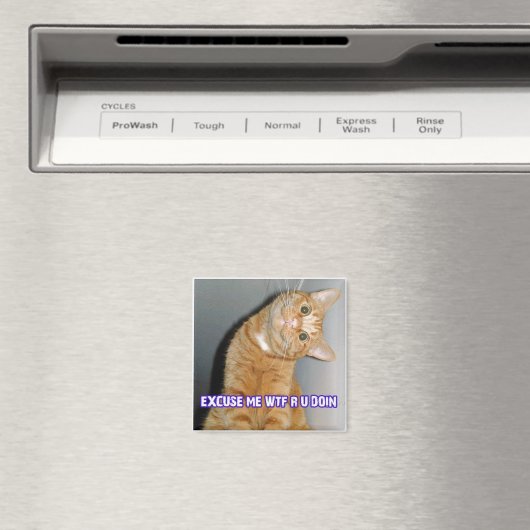 猫好き マグネット (インサイチュ (食洗機))