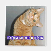 猫好き マグネット (正面)