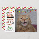 猫好き、「親愛サンタ、犬がやった」 シーズンカード (正面/裏面)
