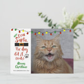 猫好き、「親愛サンタ、犬がやった」 シーズンカード (スタンド正面)